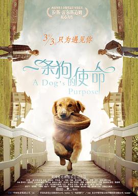 免费b站在线观看人数在哪里查看